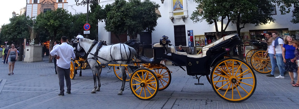 Spanisch Sprachreise Sevilla